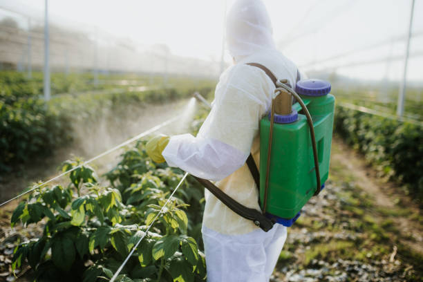 Best Bed Bug Extermination  in Bradford, TN